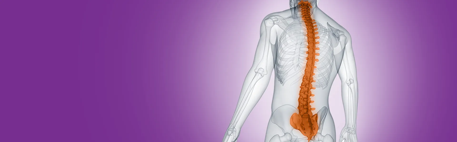 Specialized Spine Care